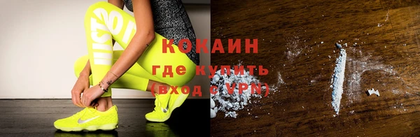 гидра Вяземский