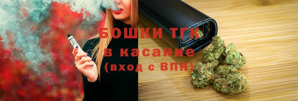 гидра Вяземский