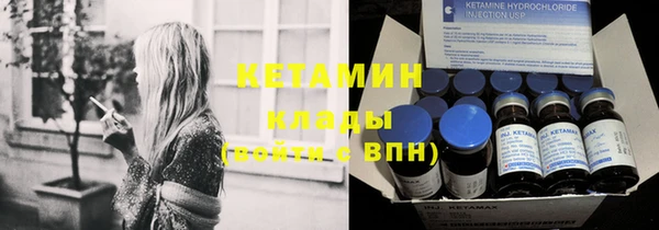 гидра Вяземский