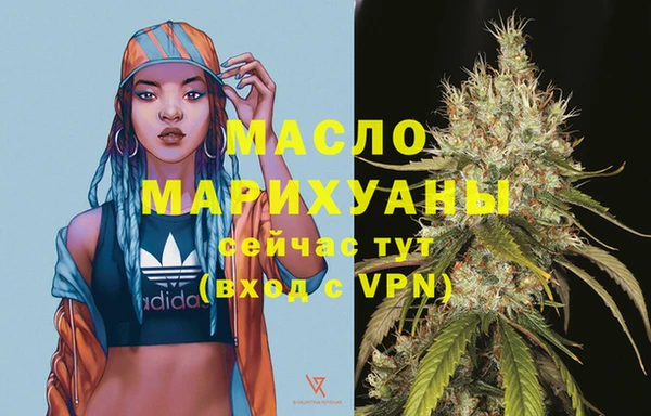 гидра Вяземский