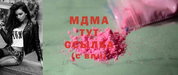 гидра Вяземский