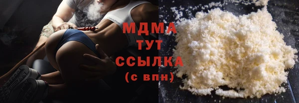 гидра Вяземский