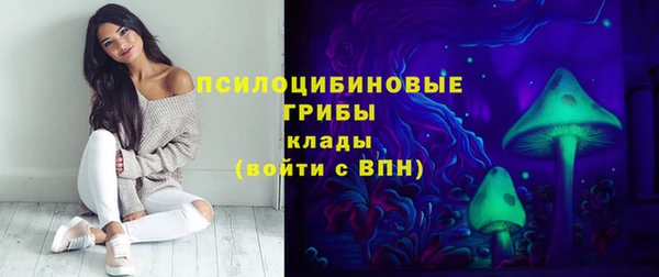 гидра Вяземский