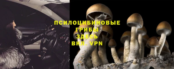 Альфа ПВП Горно-Алтайск