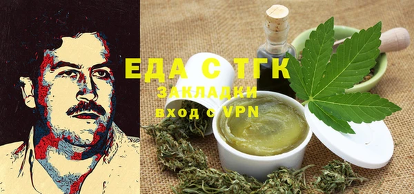 гидра Вяземский