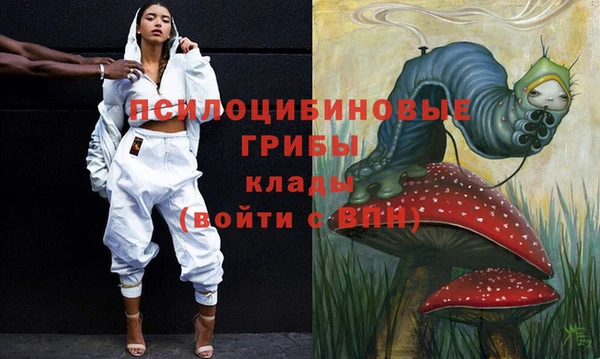 гидра Вяземский