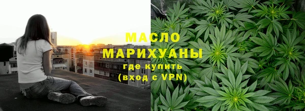 гидра Вяземский