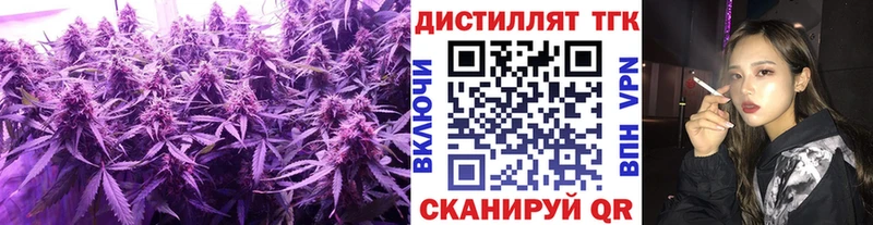 закладка  Зеленоградск  Дистиллят ТГК THC oil 