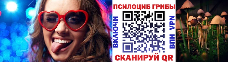 цены   Зеленоградск  Галлюциногенные грибы Psilocybine cubensis 